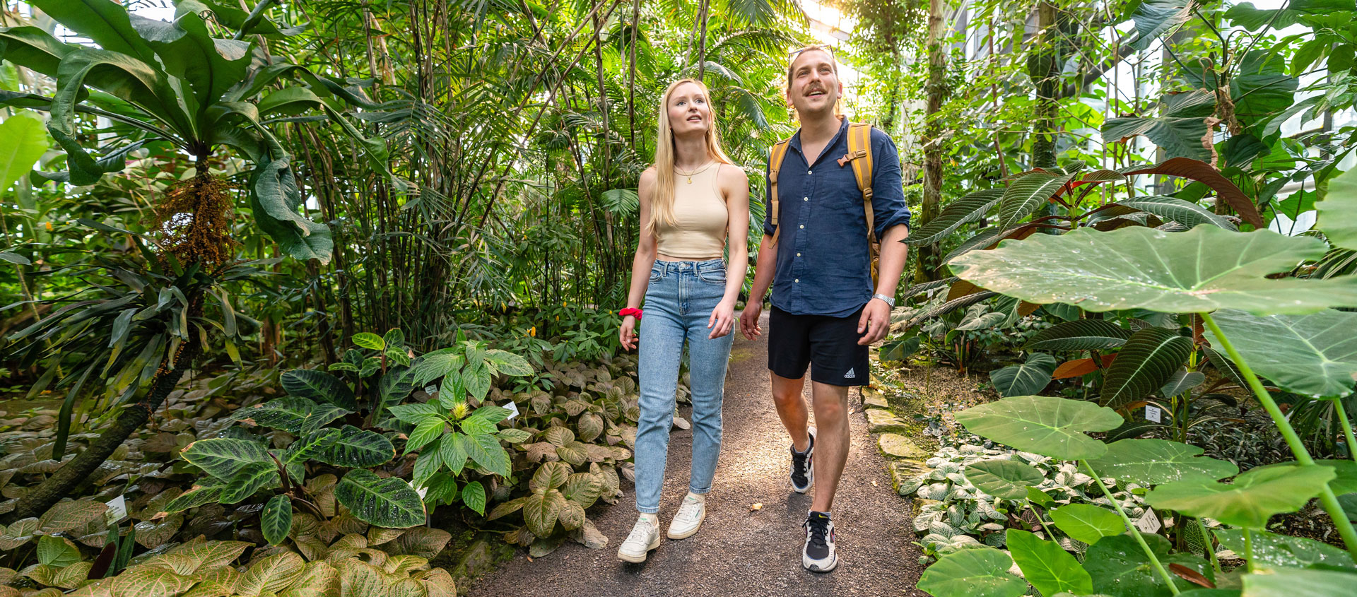 Paar spaziert durch das Gewächshaus im Botanischen Garten Jena, umgeben von üppigem, grünem Pflanzenwuchs