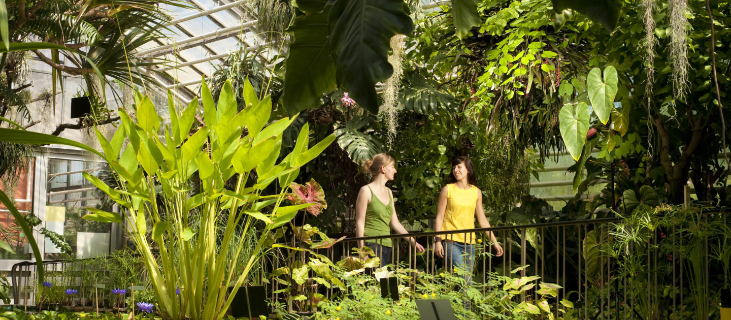 Botanischer Garten in Jena mit zwei Besuchern