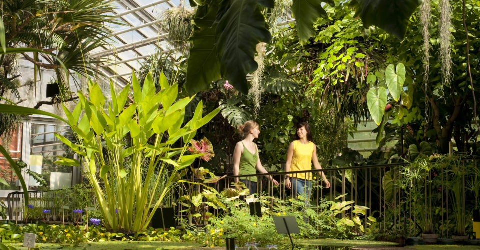 Jena_BotanischerGarten_Besucher_JenaKultur_A.Hub Botanischer Garten in Jena mit zwei Besuchern