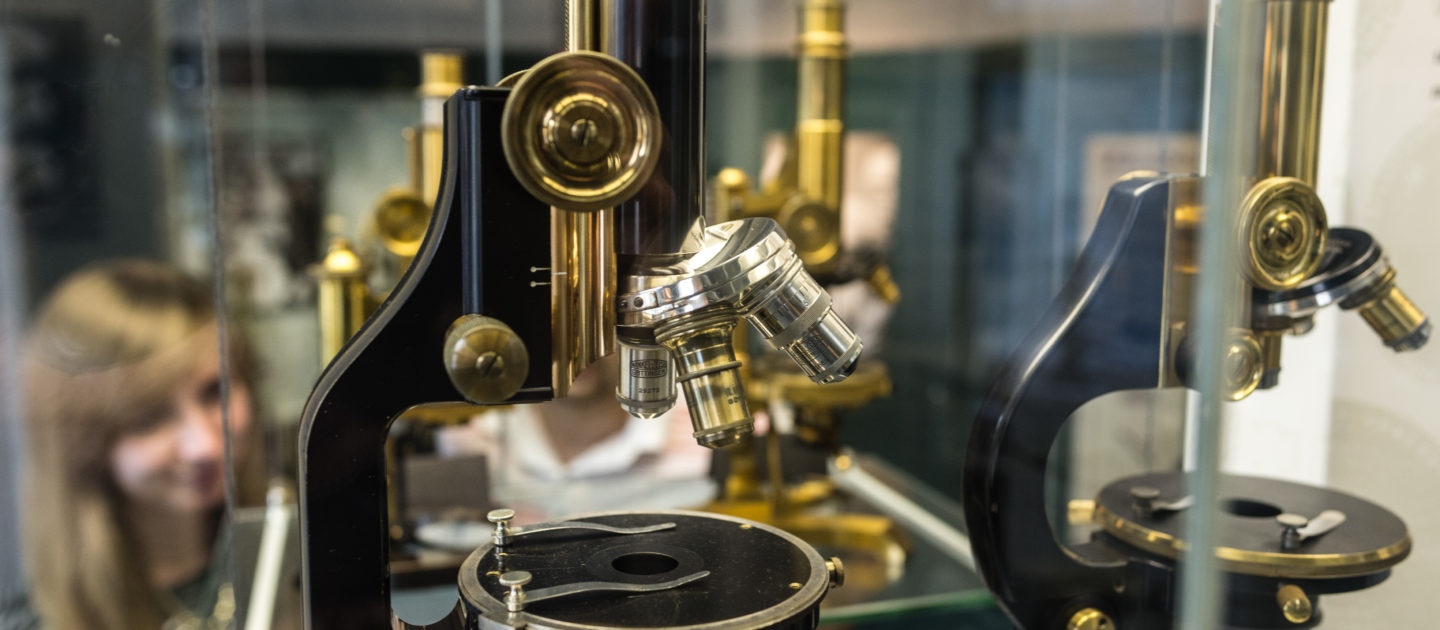 Mikroskope im Deutschen Optischen Museum