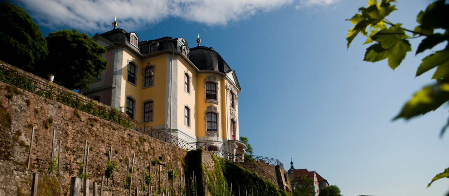 Rokokoschloss der Dornburger Schlösser auf einem steilen Hang mit Weinreben und Blick auf bewaldete Hügel unter blauem Himmel