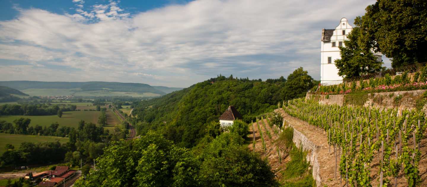 Blick auf die terrassierten Weinberge und das weiße Schlossgebäude der Dornburger Schlösser über dem Saaletal mit bewaldeten Hügeln und weiter Landschaft im Hintergrund
