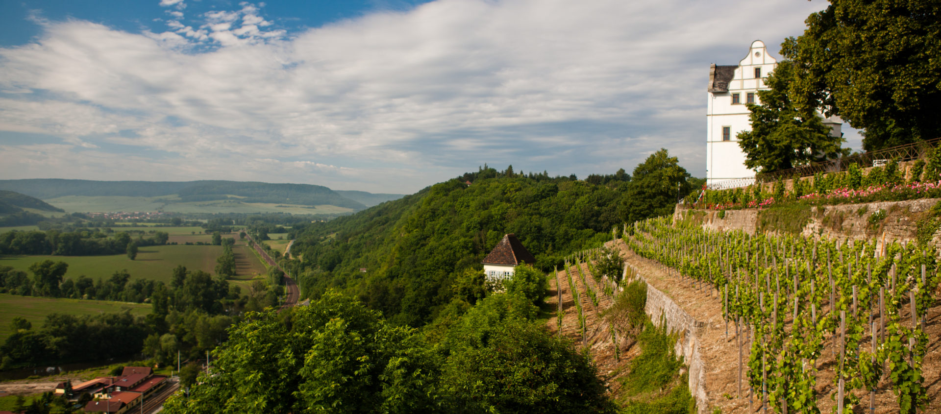Blick auf die terrassierten Weinberge und das weiße Schlossgebäude der Dornburger Schlösser über dem Saaletal mit bewaldeten Hügeln und weiter Landschaft im Hintergrund