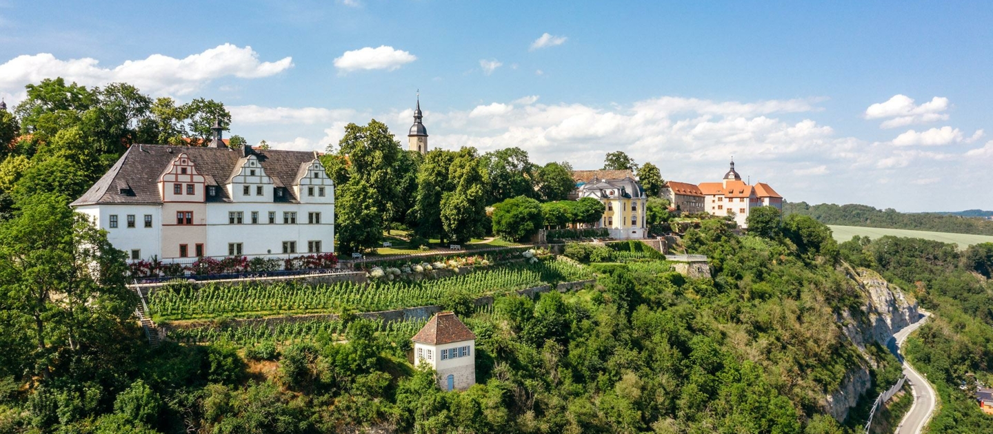 Blick von Süden auf die Dornburger Schlösser mit mehreren historischen Gebäuden auf einem bewaldeten Felsenplateau und einer Straße rechts unten