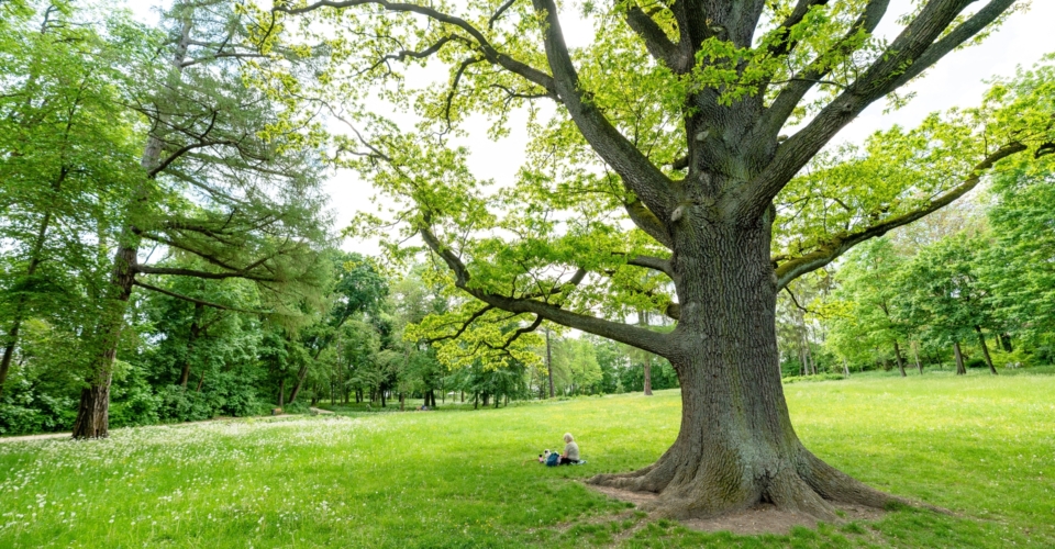 Drackendorfer Park_JenaKultur_Christopher Schmid