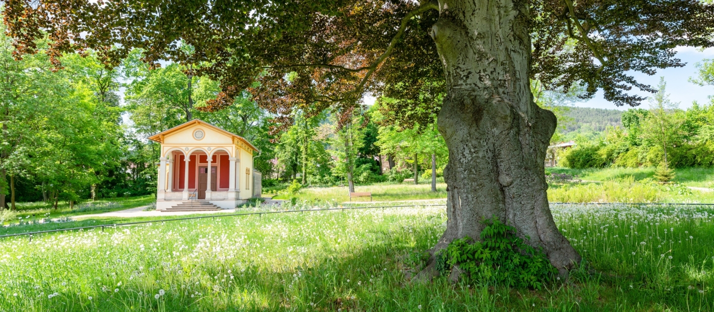 Teehäuschen mit Säulen im Drackendorfer Park in Jena, umgeben von grüner Wiese und großen Bäumen