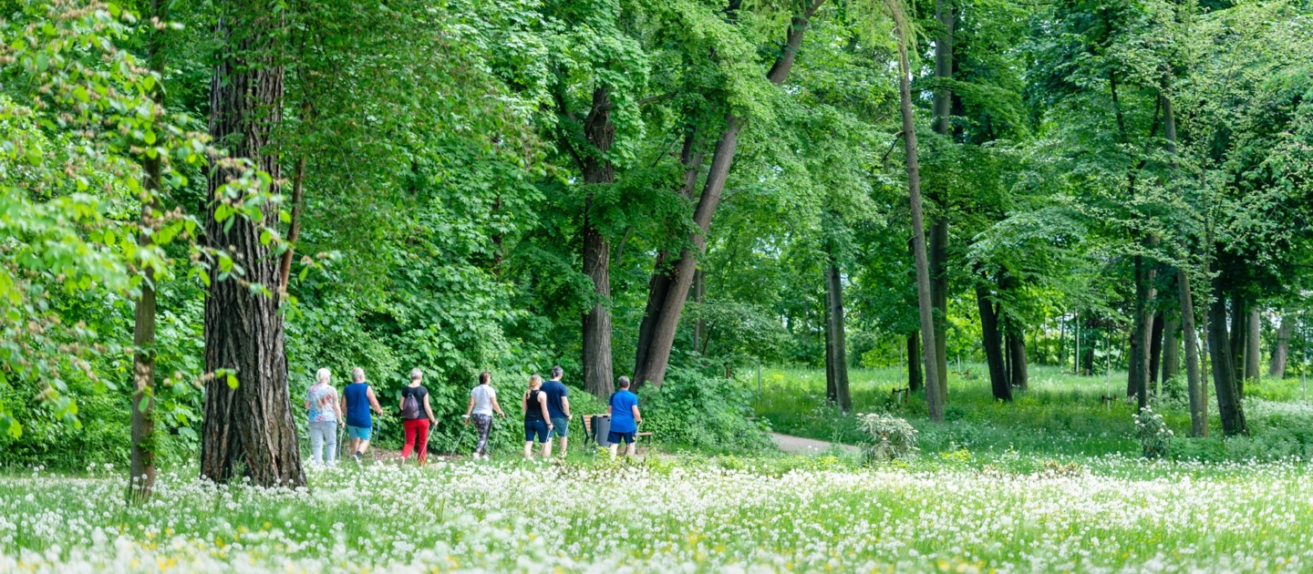Wandergruppe mit sieben Personen geht auf einem Weg im Drackendorfer Park in Jena, umgeben von grünen Bäumen und einer Wiese mit weißen und gelben Blumen