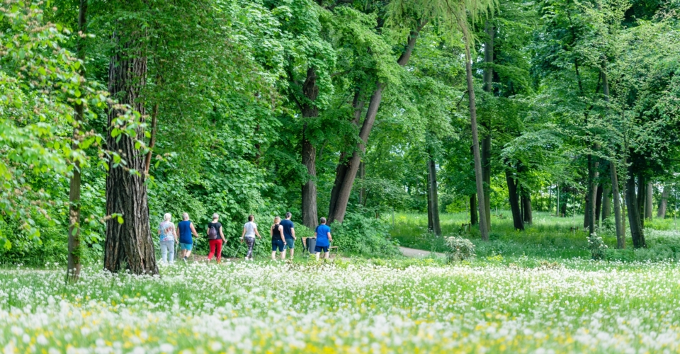 Drackendorfer Park_Wandergruppe_JenaKultur_Christopher Schmid