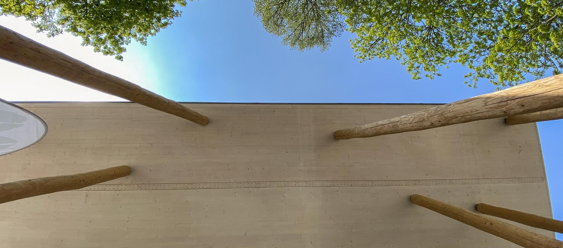 Blick von unten auf das Forum Natura, eine moderne Holzkonstruktion mit vier vertikalen Baumstämmen und darüber blauem Himmel, umgeben von grünen Baumkronen