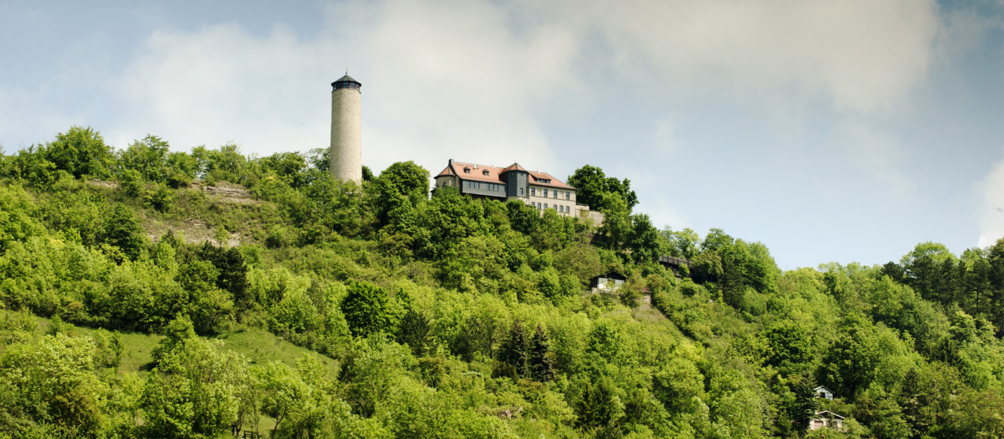 Der Fuchsturm auf einem bewaldeten Hügel mit angrenzendem Gebäude unter bewölktem Himmel