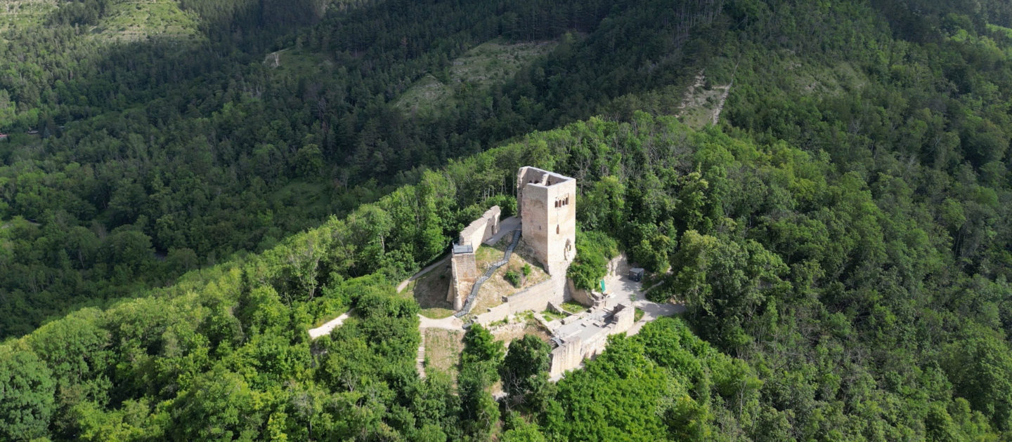 Luftaufnahme der Burgruine Lobdeburg auf einem bewaldeten Hügel bei Jena