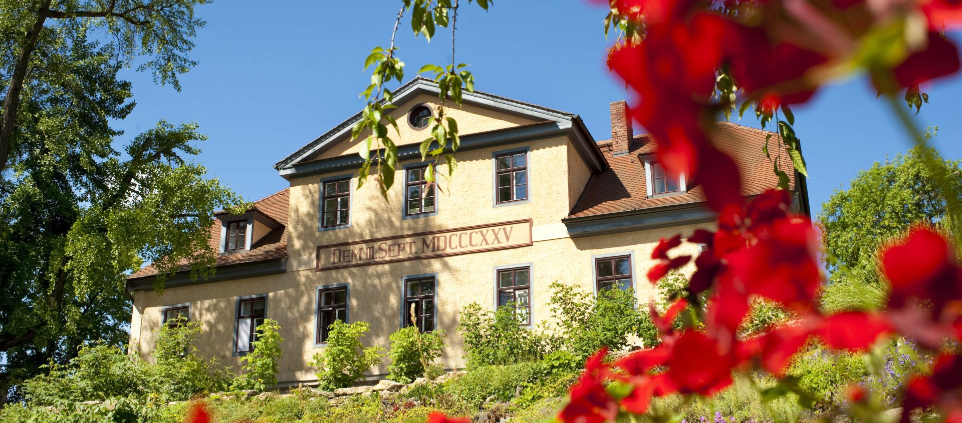 Goethe-Gedenkstätte, Inspektorhaus, Ginkgobaum