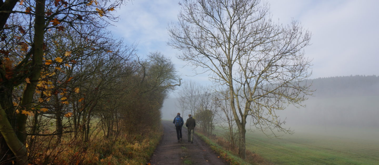Novalisweg, Auf den Spuren Novalis' - Literatur, Poesie und Kunst unterwegs