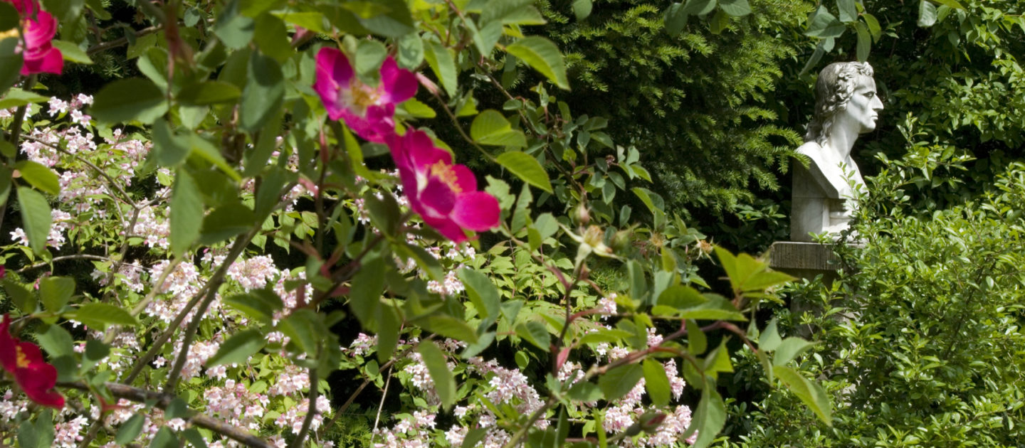 Schillerbüste in Schillers Garten