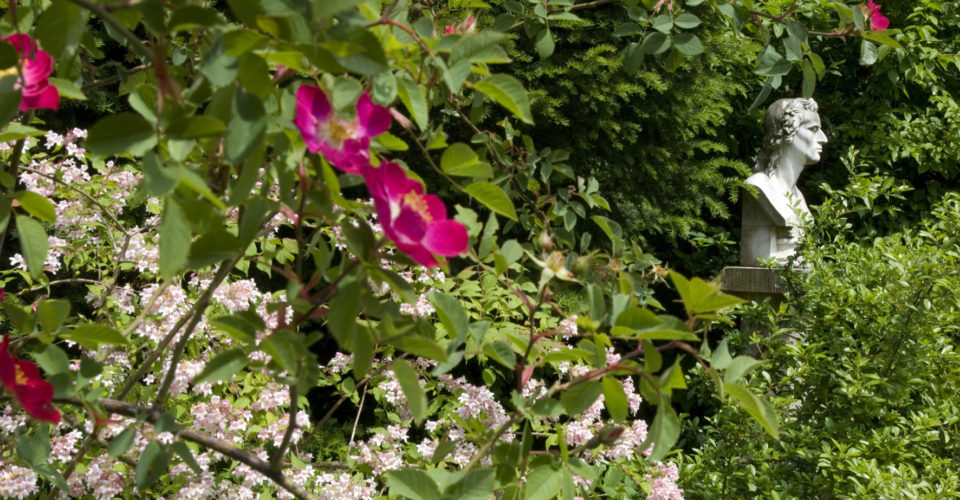 ©JenaKultur Foto: T.Babovic Jena, Schillers Garten,
