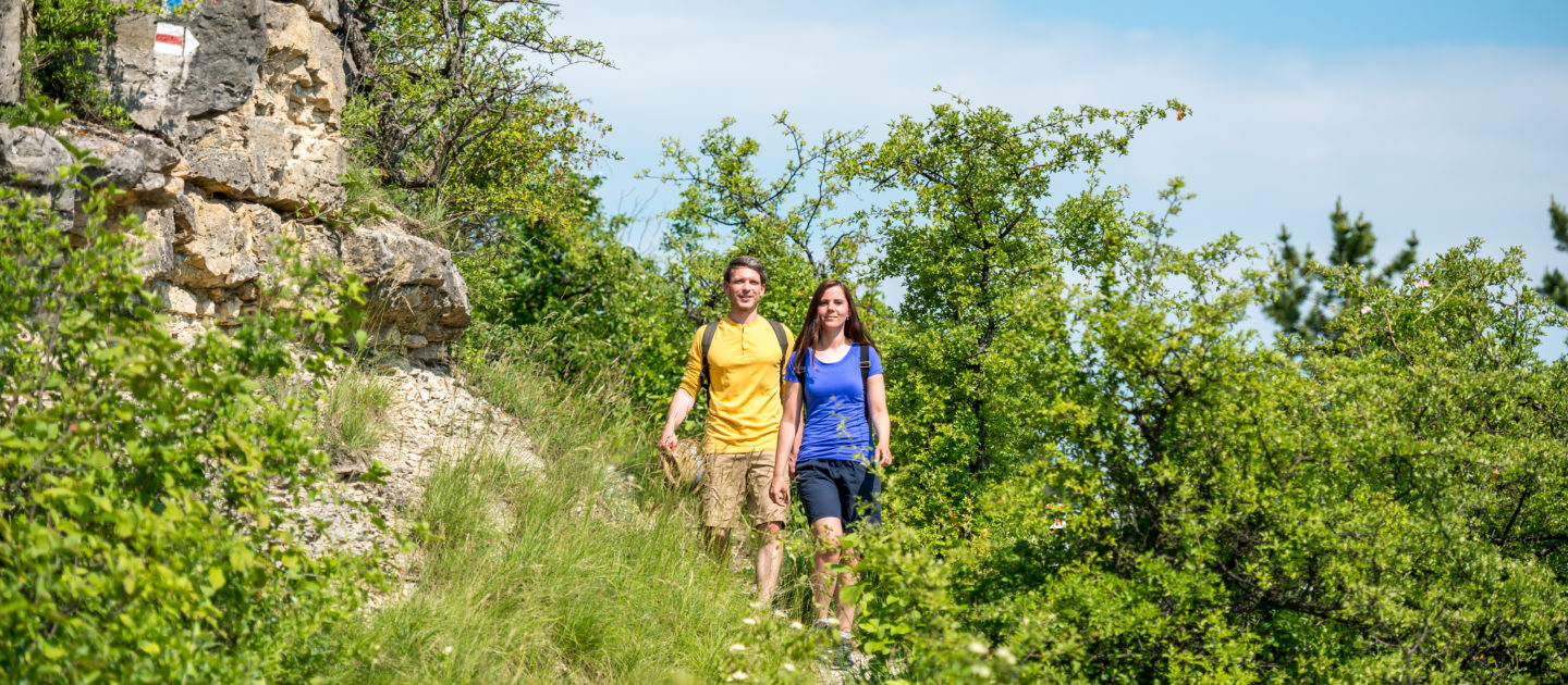 Wandern Jena, Sonnenberge, Saalehorizontale, Trailrunningwege in den Kernbergen