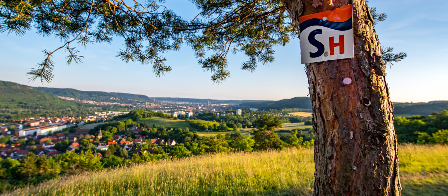 Baumstamm mit einem Schild 'S H' in einer grünen Wiesenlandschaft mit Blick auf die Stadt Jena und umliegende Hügel im Hintergrund