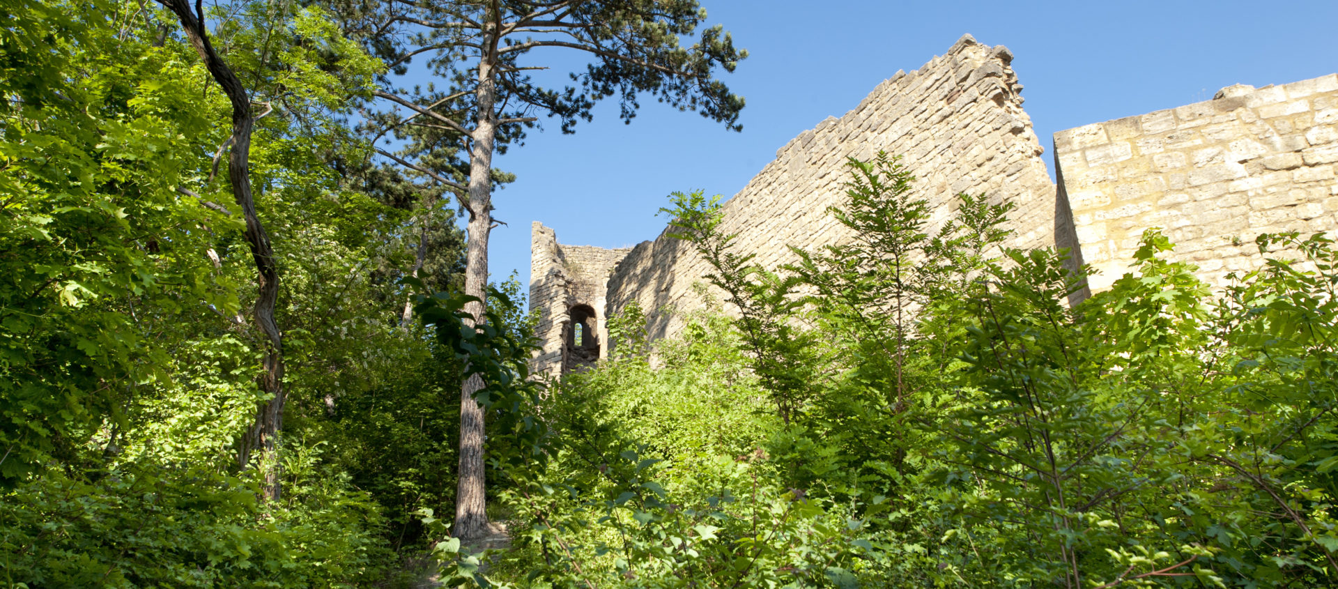 Jena, SaaleHorizontale, Lobdeburg