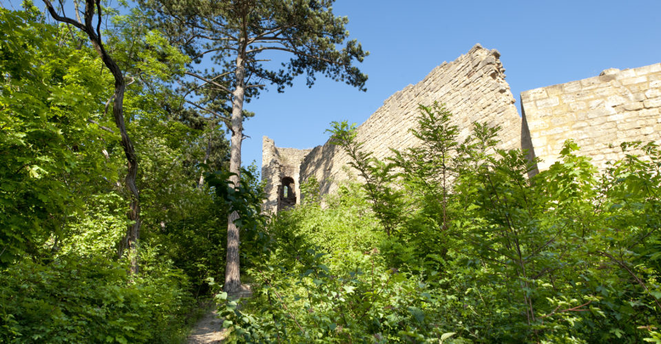 ©JenaKultur Foto: A. Hub Jena, SaaleHorizontale, Lobdeburg