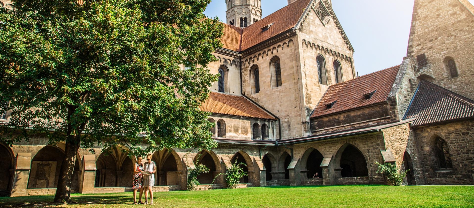 Innenhof des Naumburger Doms mit zwei Menschen unter einem großen Baum, umgeben von gotischen Arkaden und Türmen bei Sonnenschein