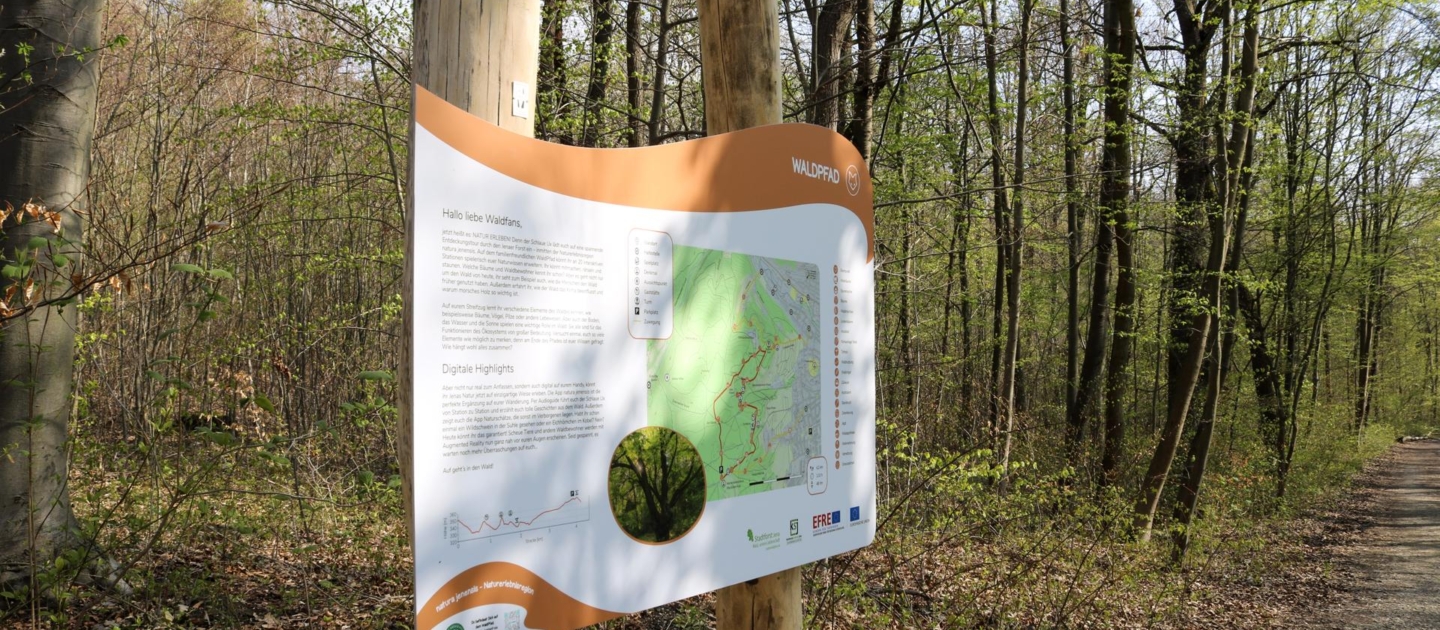 WaldPfad Schlauer Ux_Tafel_JenaKultur_K.Schulz