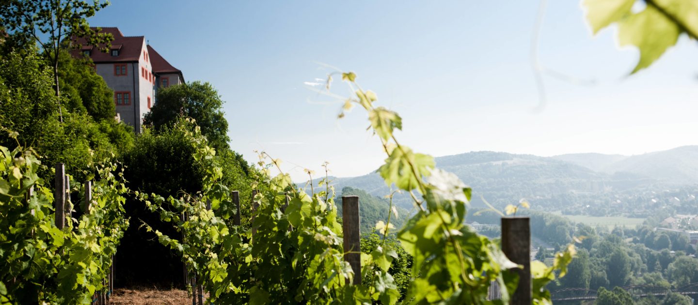 SaaleHorizontale, Dornburger Schlösser, Alte Schloss