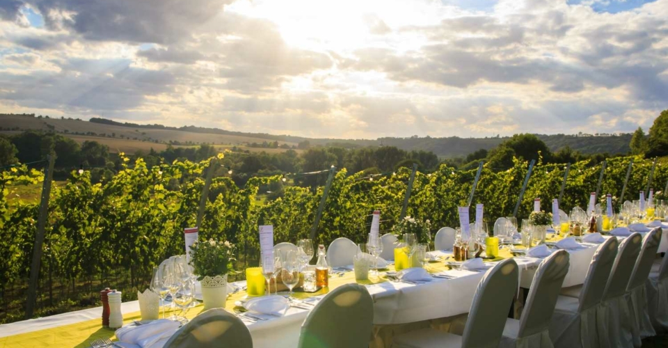Weingut Zahn_Tafeln im Weinberg©TTG, Melf Mäder