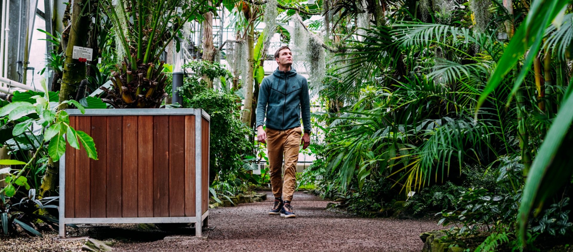 Person in Freizeitkleidung geht auf einem Weg zwischen üppigen tropischen Pflanzen im Botanischen Garten in Jena