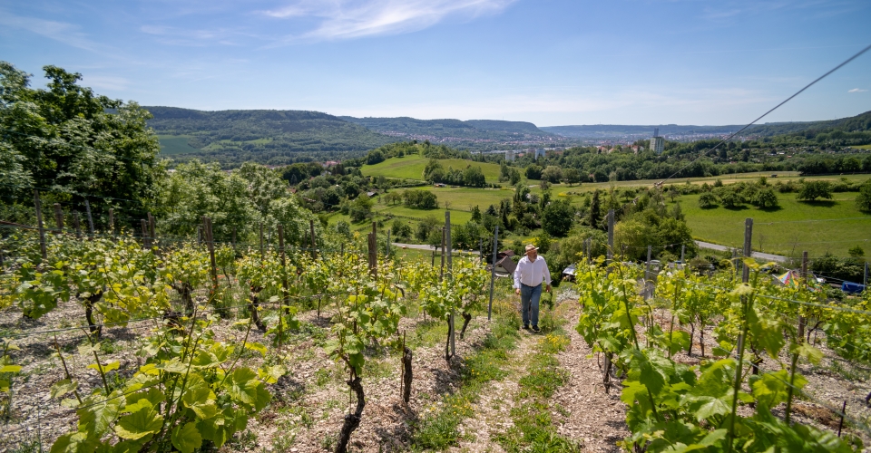 WeinbergJena©JenaKultur, Roman Möbius