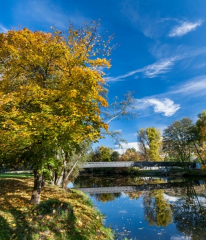 Herbstliche Bäume am ruhigen Saaleufer in Jena mit einer Brücke im Hintergrund und blauem Himmel mit Wolken