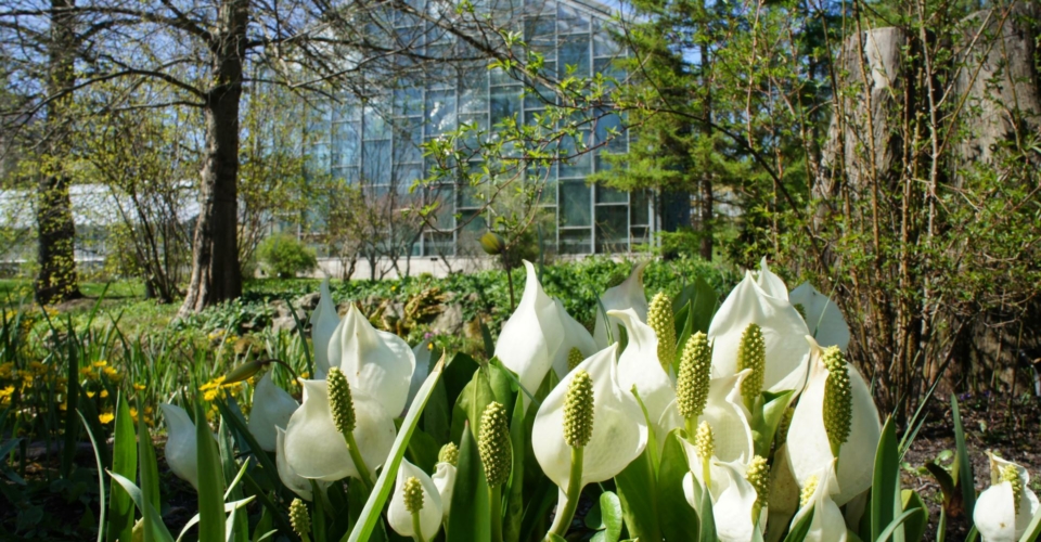 Botanischer Garten Jena