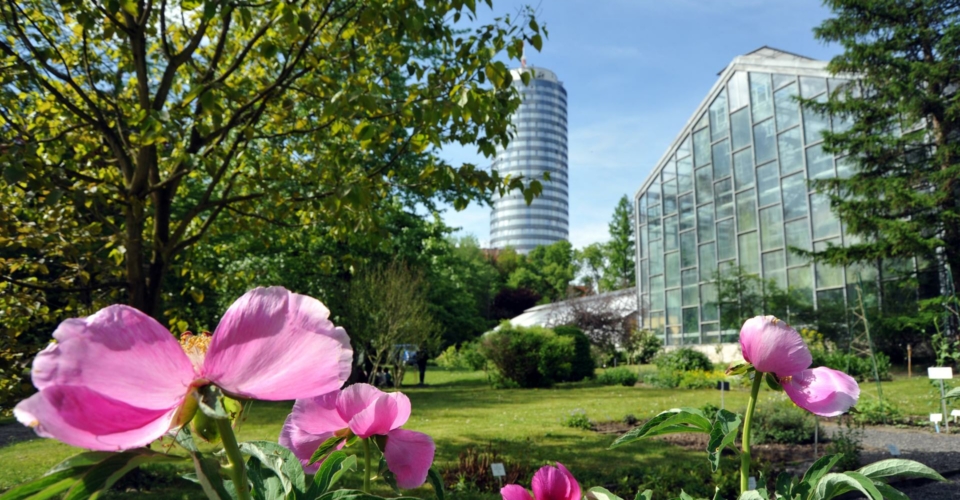 Botanischer Garten Jena