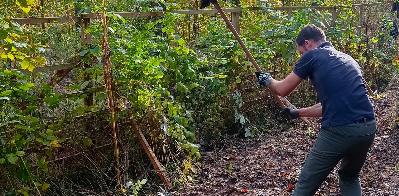 Person mit blauer Hose und blauem T-Shirt benutzt eine Hacke zum Umgraben eines Erdstücks neben einem Zaun im herbstlichen Wald in Jena