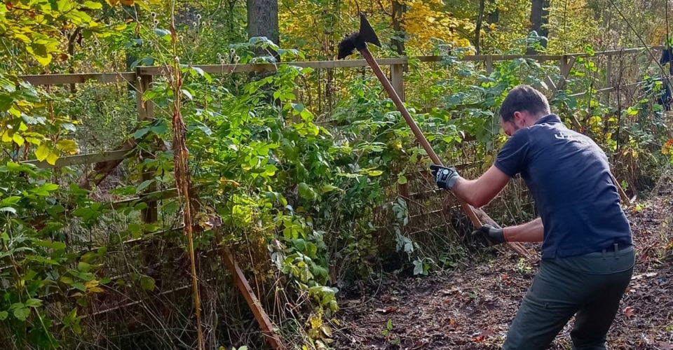 Jena Tickt Gr n Visit jena