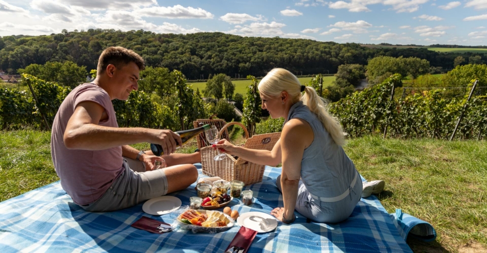 Weingut Zahn_Picknick_JenaKultur_Roman_Moebius_web