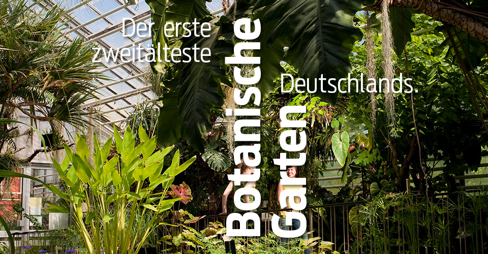 Jena_Superlative_Botanischer_Garten Jena_Superlative_Botanischer_Garten