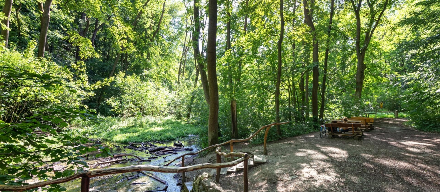 Jena_Fuerstenbrunnen_JenaKultur_RomanMoebius