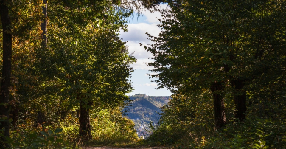 Jena_SaaleHorizontale_8.Etappe_Blick vom Stern auf Fuchsturm_JenaKultur_Roman Moebius Jena_SaaleHorizontale_8.Etappe_Blick vom Stern auf Fuchsturm_JenaKultur_Roman Moebius