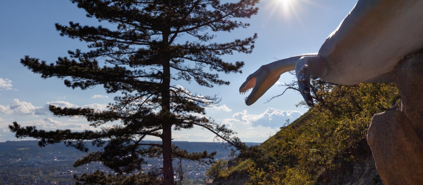 Jena_Saurierpfad_Blick auf Stadt_JenaKultur_RomanMoebius