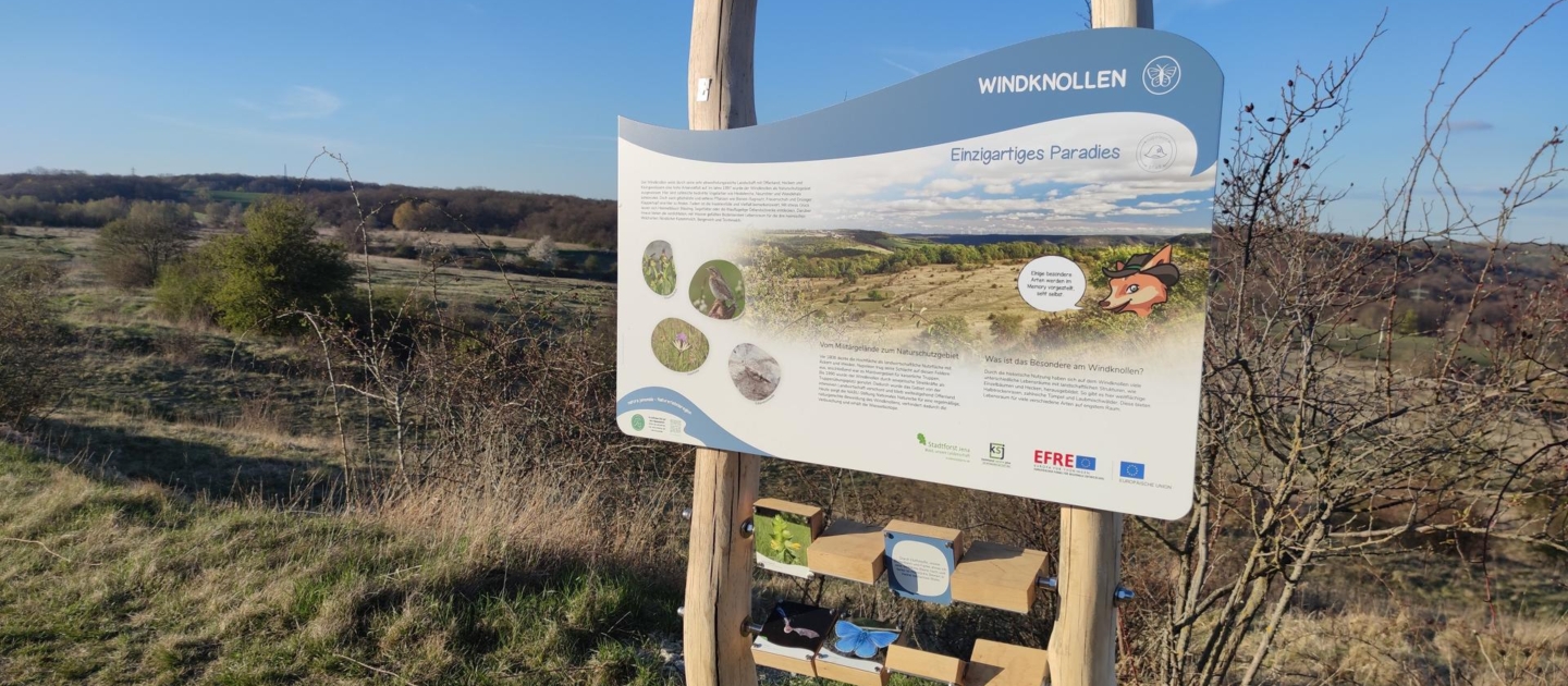 Informationsschild zum Windknollen auf dem Napoleonpfad in Jena vor einer offenen Landschaft mit niedrigem Bewuchs und blauem Himmel