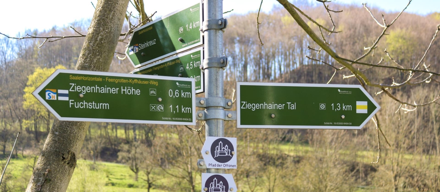 Grüner Wegweiser mit mehreren Richtungshinweisen zu Ziegenhainer Höhe, Fuchsturm, Ziegenhainer Tal und weiteren Zielen am Pfad der Ottonen in ländlicher Umgebung