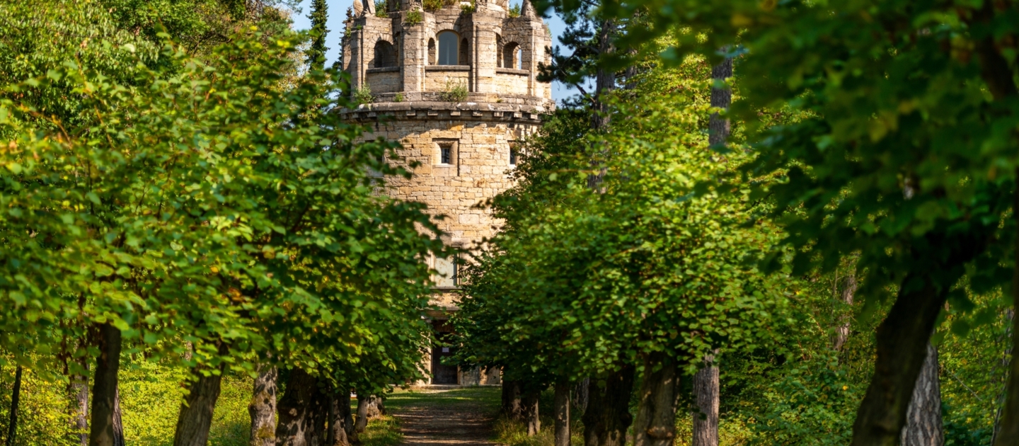 Bismarckturm in Jena, steinerner Aussichtsturm hinter einer Allee aus grünen Bäumen