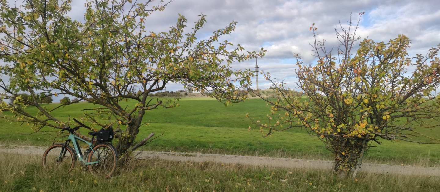 Fahrrad lehnt an einem Baum neben einem Feldweg in der Nähe von Jena, mit grünen Wiesen und einem Sendemast im Hintergrund unter bewölktem Himmel