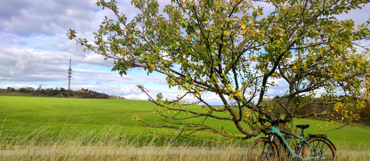 Fahrrad lehnt an einem kleinen Baum auf einer Wiese mit grünem Gras, im Hintergrund ein Sendemast bei Jena unter bewölktem Himmel
