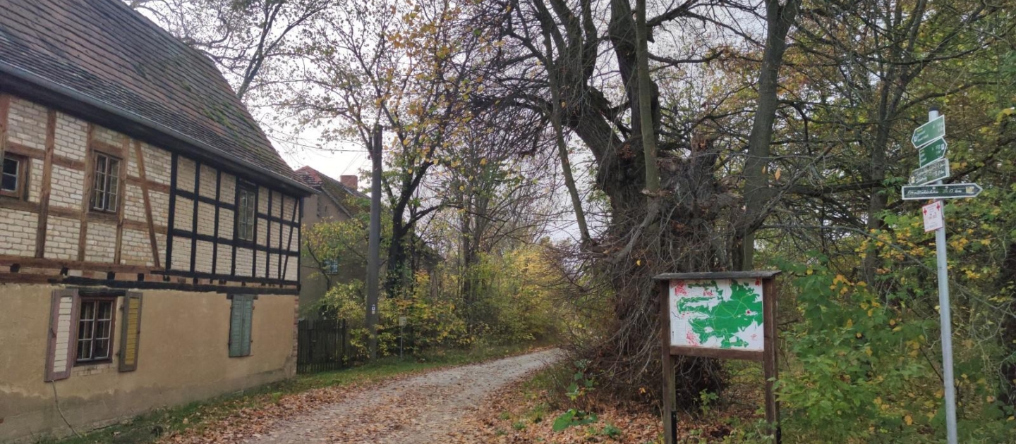 Weg mit Herbstlaub neben Fachwerkhaus in Jena, Infotafel und Wegweiser am Waldrand