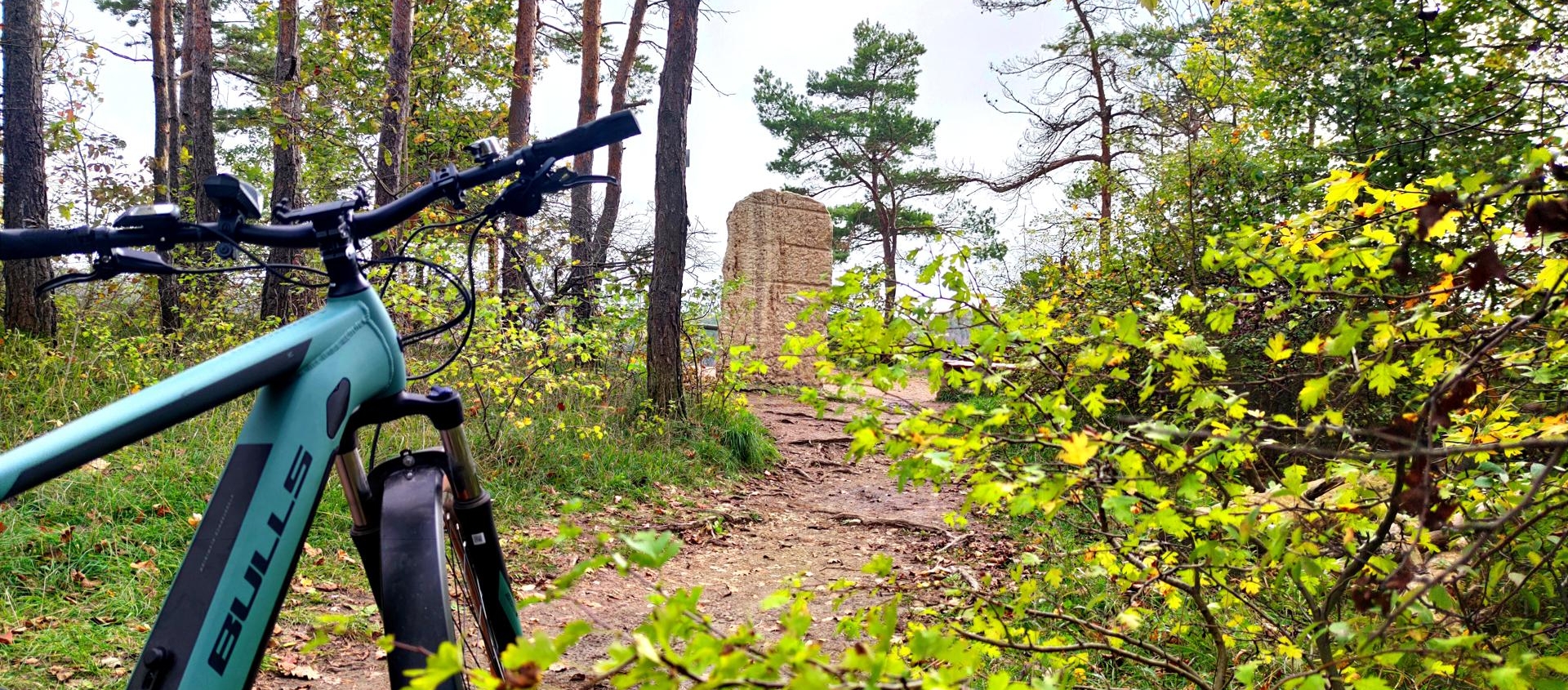 Blaugrünes E-Mountainbike auf Waldweg im Jenaer Forst mit Bäumen und einem Sandsteinpfeiler im Hintergrund