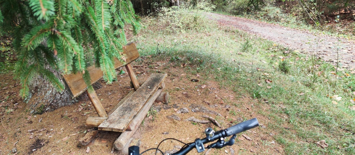 Holzbank unter Tanne neben Waldweg im Jenaer Forst, Vordergrund Lenker eines Mountainbikes