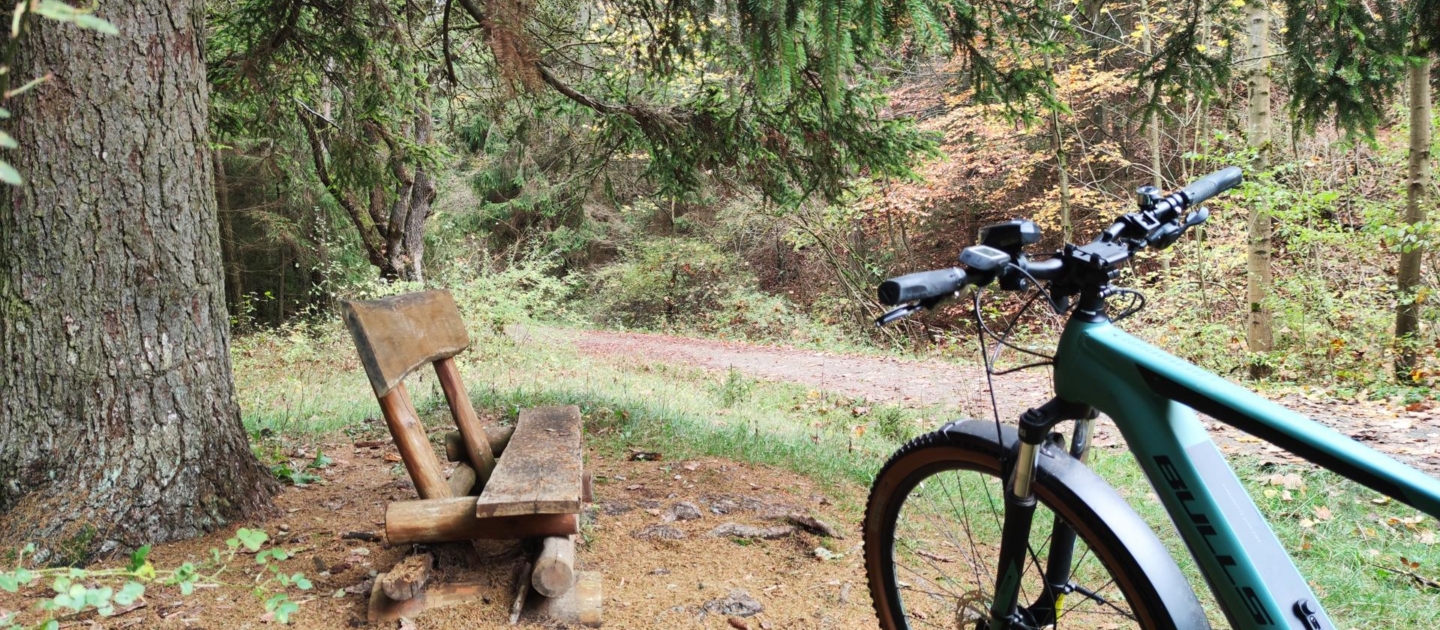Mountainbike neben einer rustikalen Holzbank im Jenaer Forst, umgeben von Bäumen und einem Waldweg