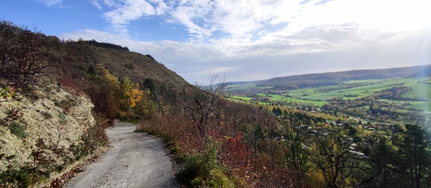 Wander- und Mountainbikeweg am Jenzig bei Jena mit Blick auf das Saaletal und bewaldete Hügel unter blauem Himmel mit Wolken
