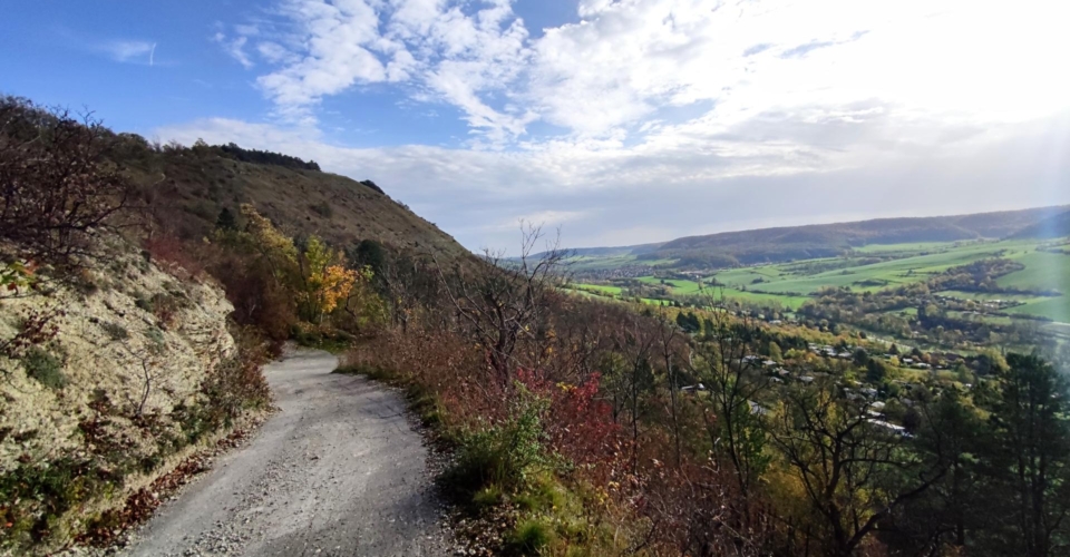 Rad_MTB Tour Jenzig(3)